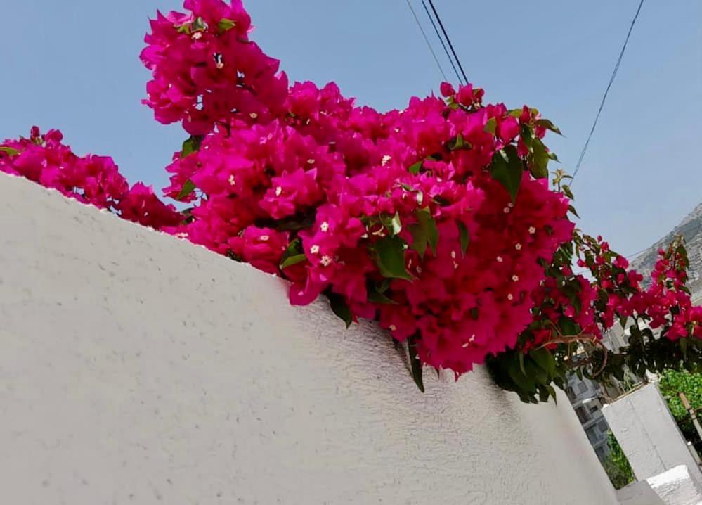 Ona Apartament Sarande Luaran gambar